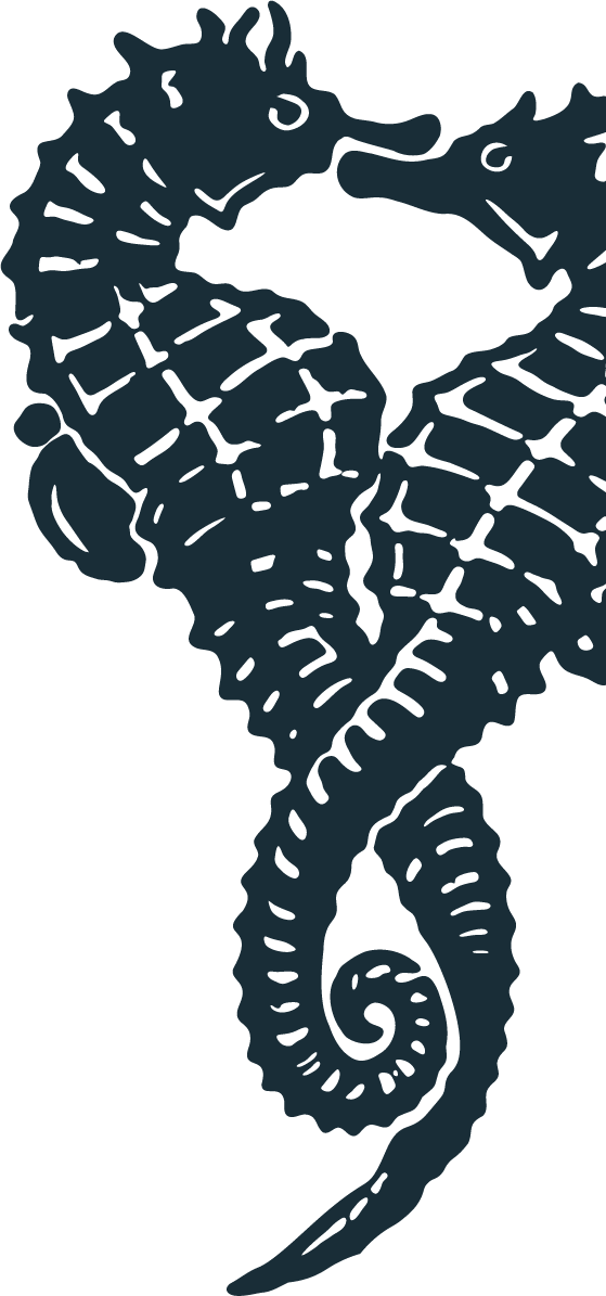 Dark blue illustration of two seahorses intertwined with intricate line details on a black background.