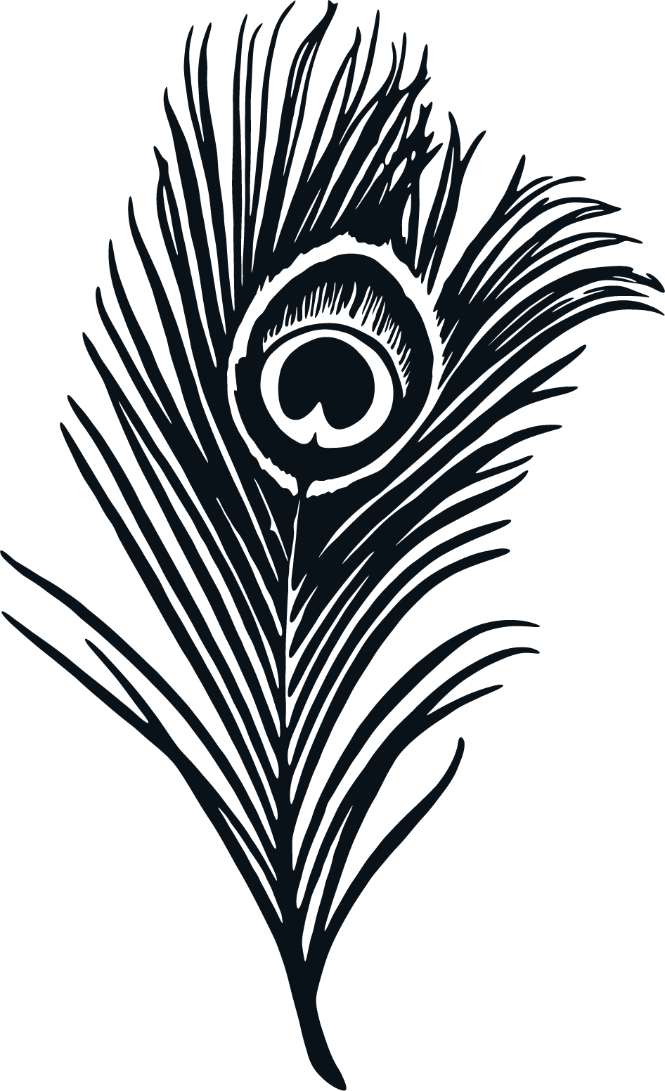 A stylized, minimalist illustration of a peacock feather with a dark color palette.