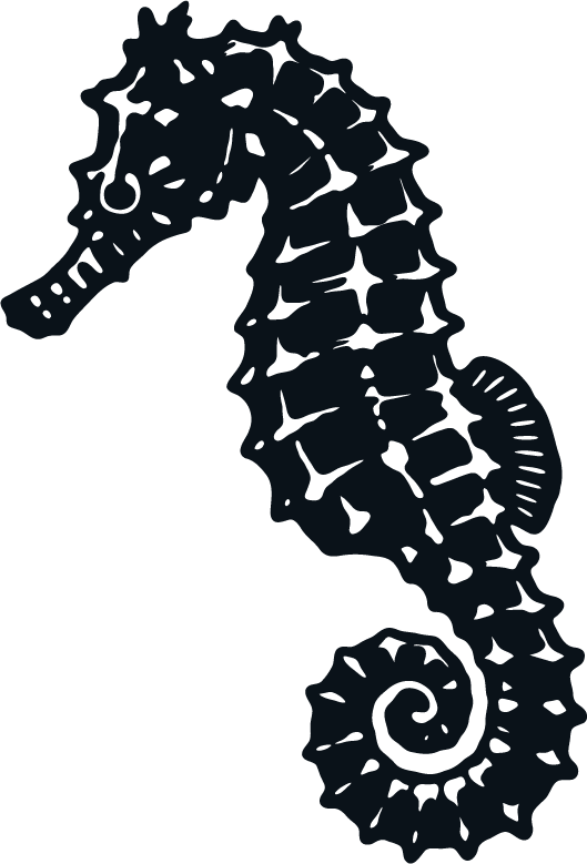 Silhouette of a seahorse against a dark background.