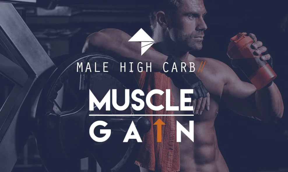 Male Muscle Gain - High Carbohydrate