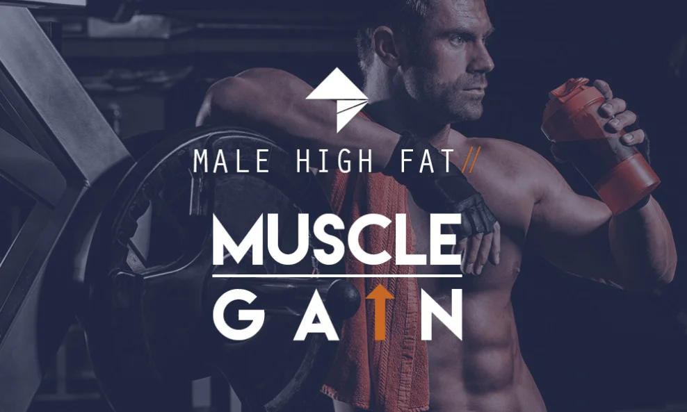  Male Muscle Gain - High Fat