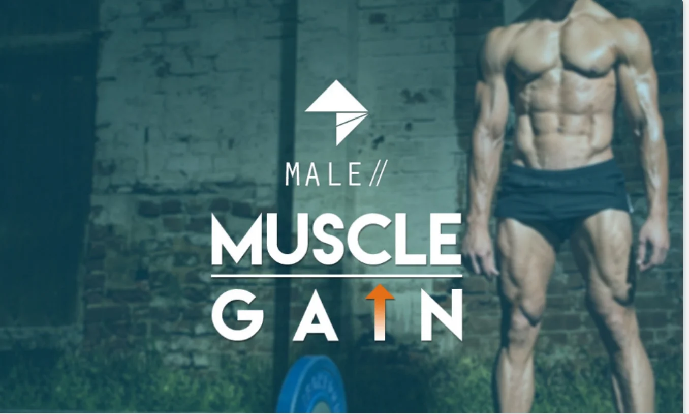 Male Muscle Gain - Online Programming