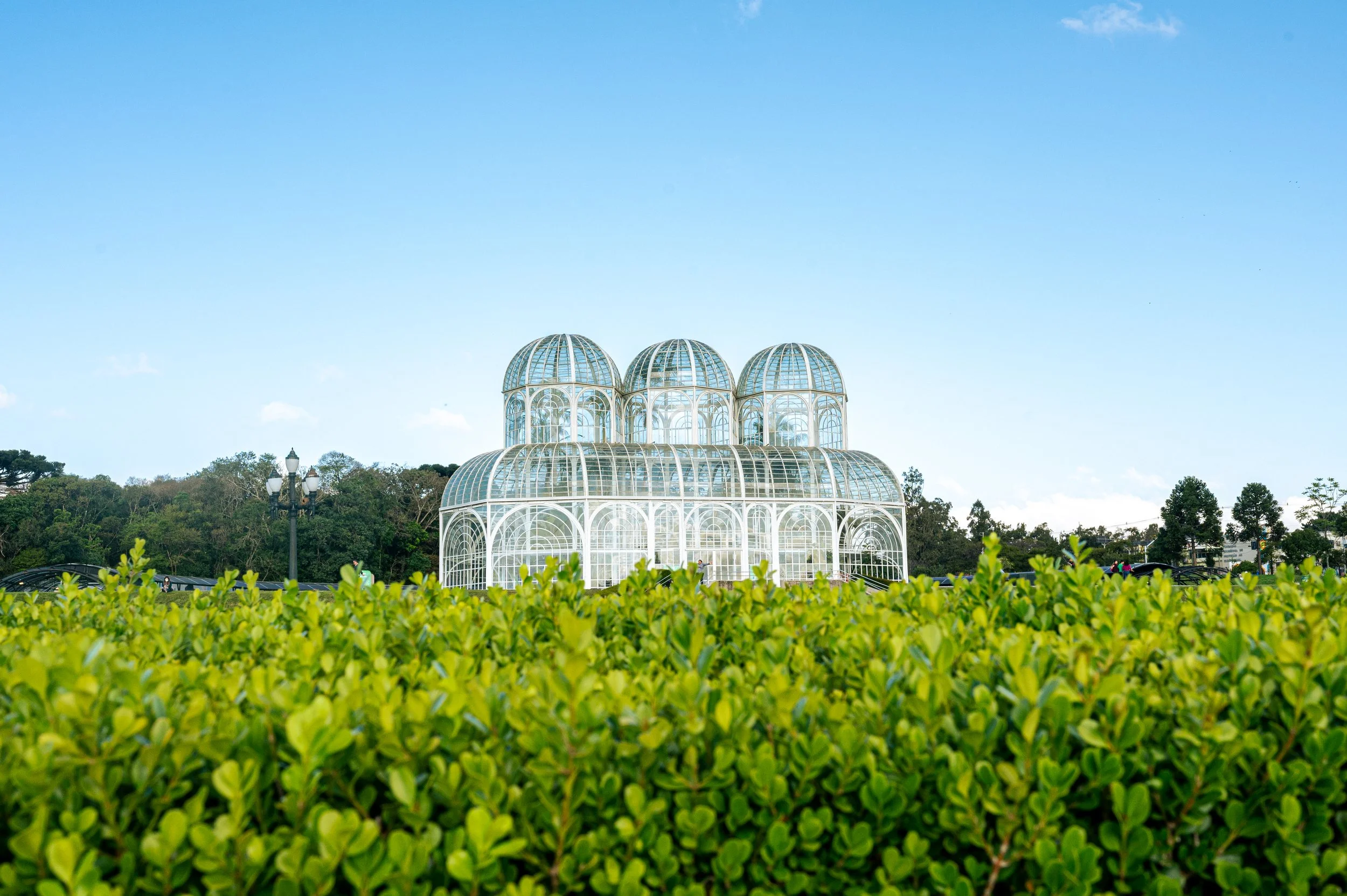 221004 Watson Curitiba Botanical Gardens-1.jpg