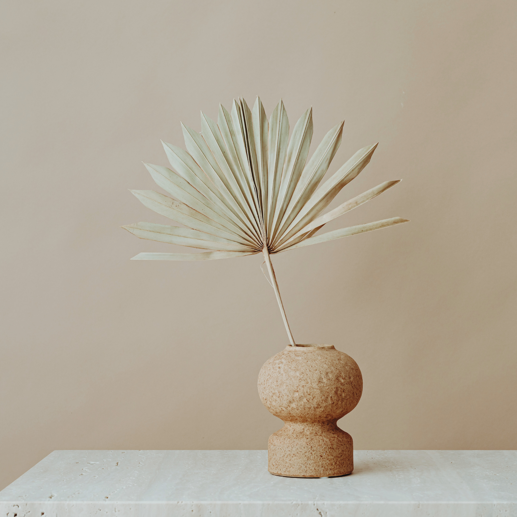 A dry, beige palm leaf in a round clay vase set on a white textured surface against a beige background.