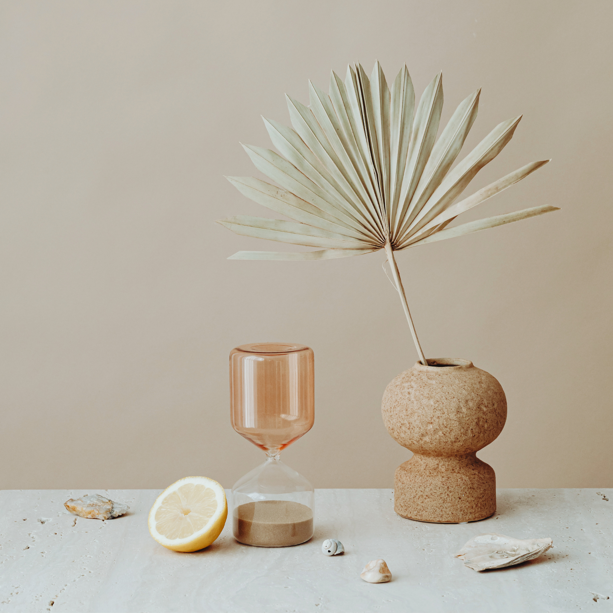 Minimalist still life with a dried palm leaf in a textured stone vase, a halved lemon, a modern hourglass, and seashells on a light surface with a neutral background.