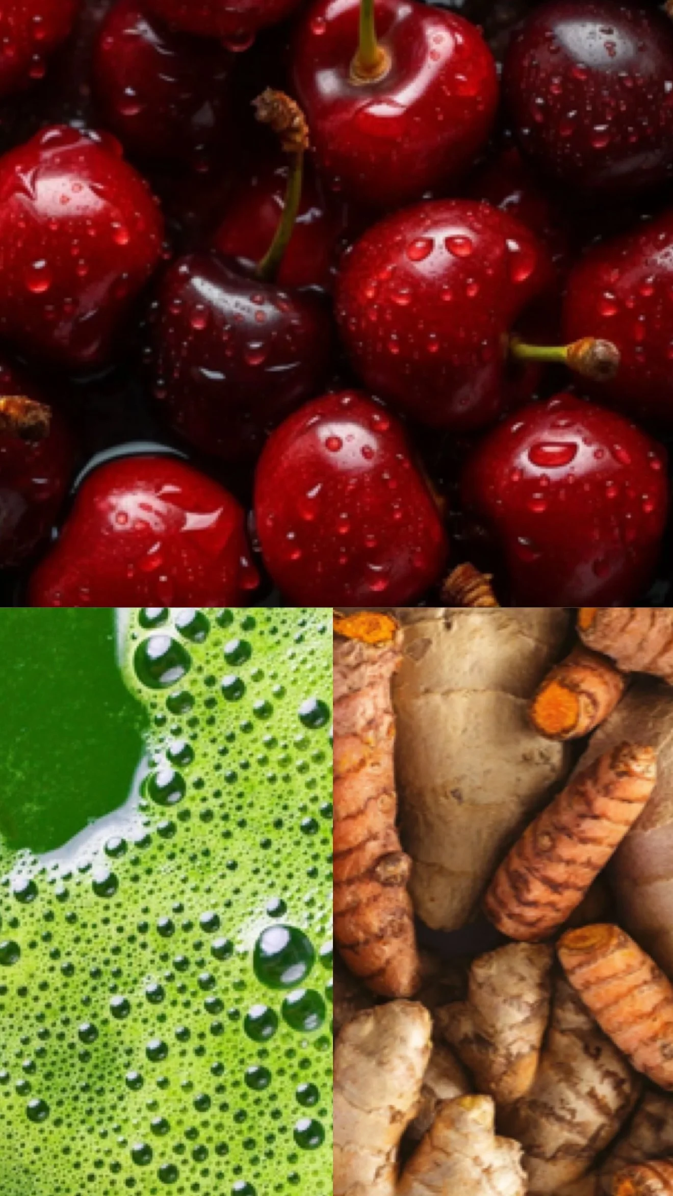 Alma’s Mini Flight