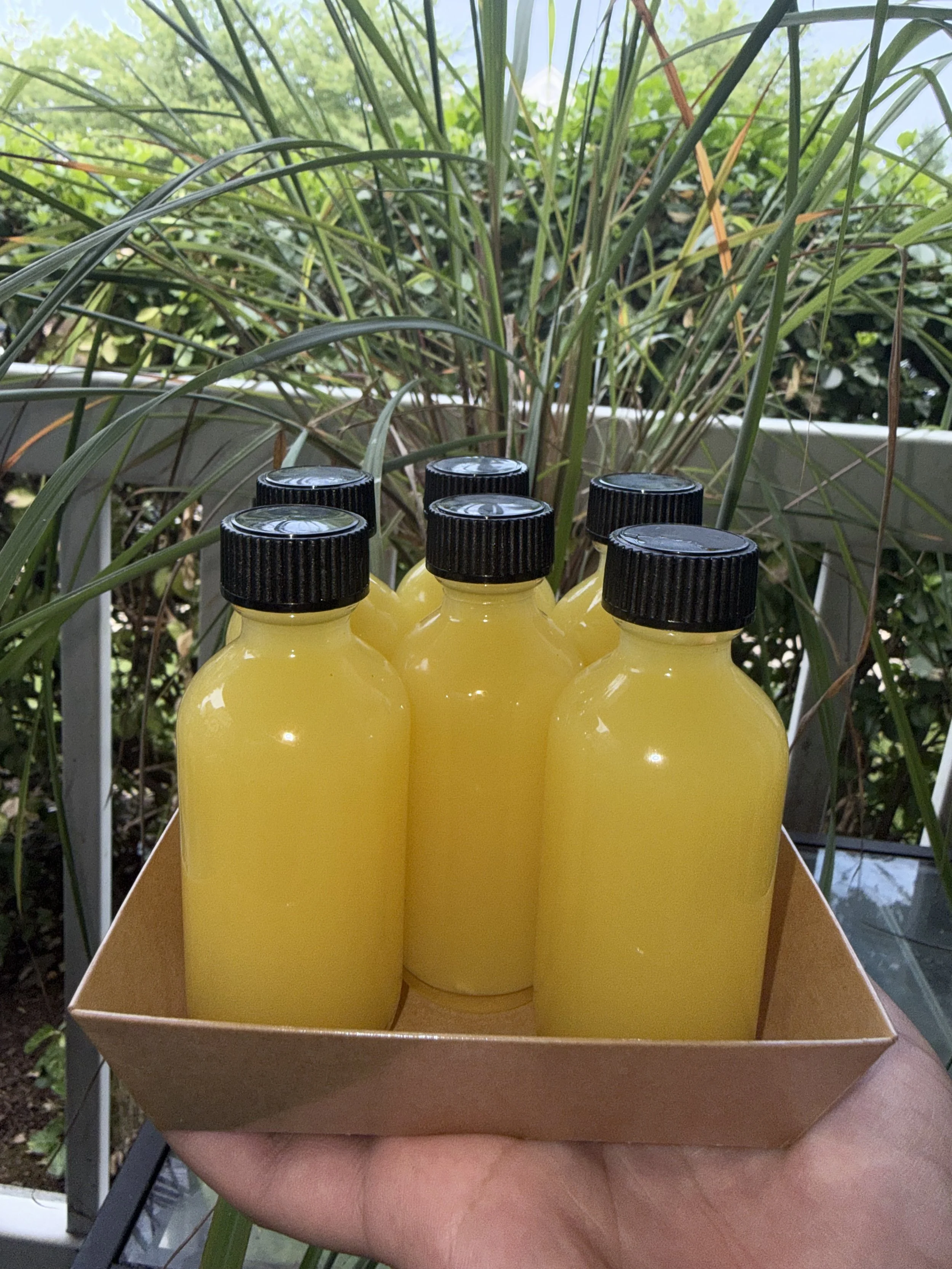 Ginger Turmeric shot
