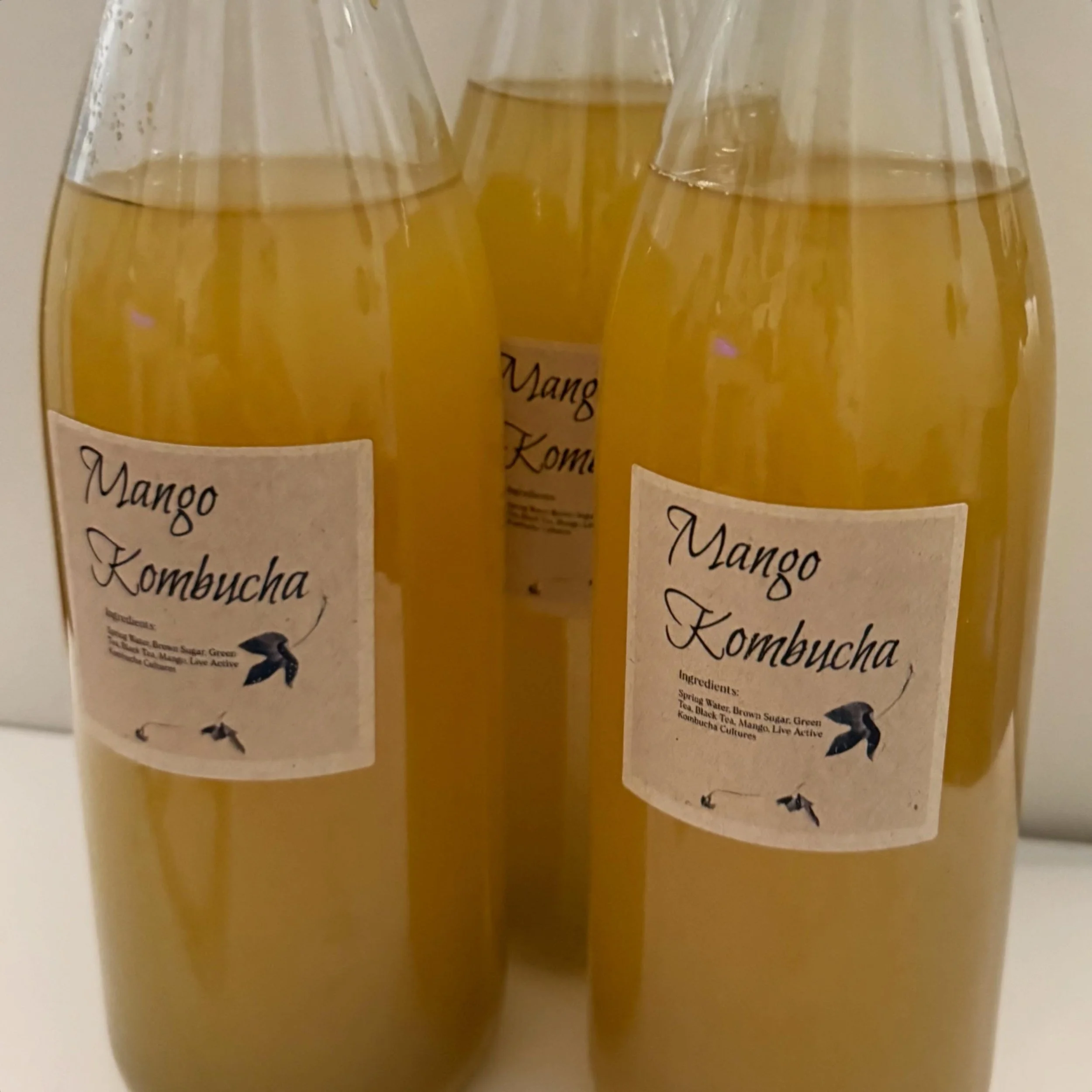 Mango Kombucha