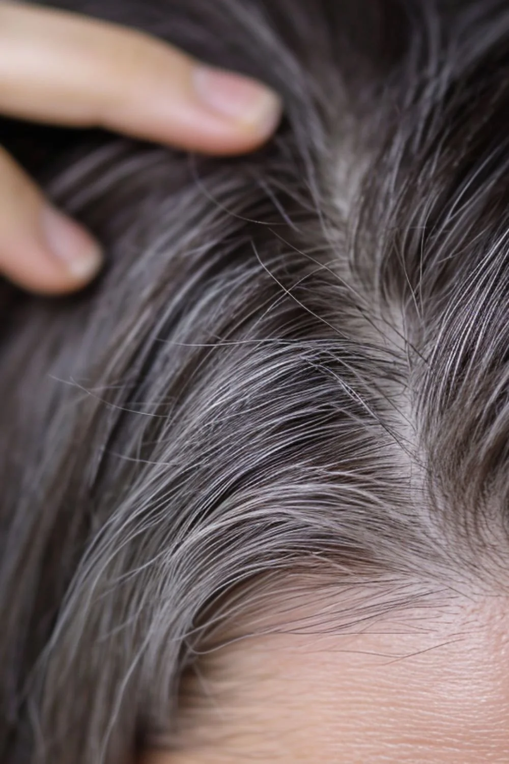 Gray Coverage vs. Gray Blending: What’s the Difference?