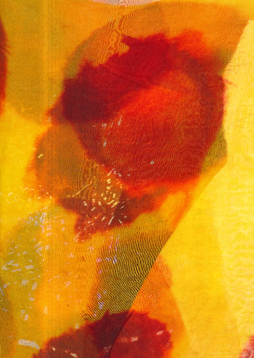 Screenshot 2026-03-06 at 12.52.41 PM.png