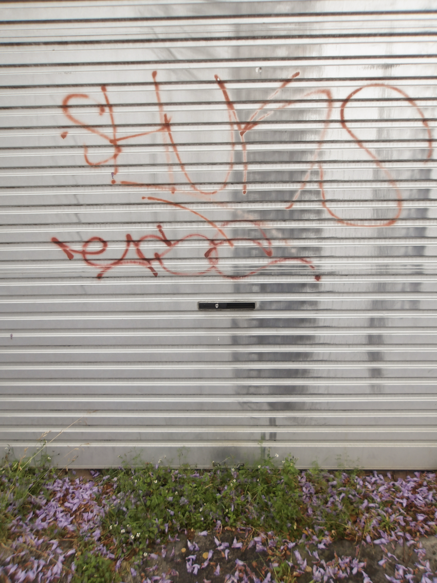 Screenshot 2026-03-05 at 11.45.23 AM.png