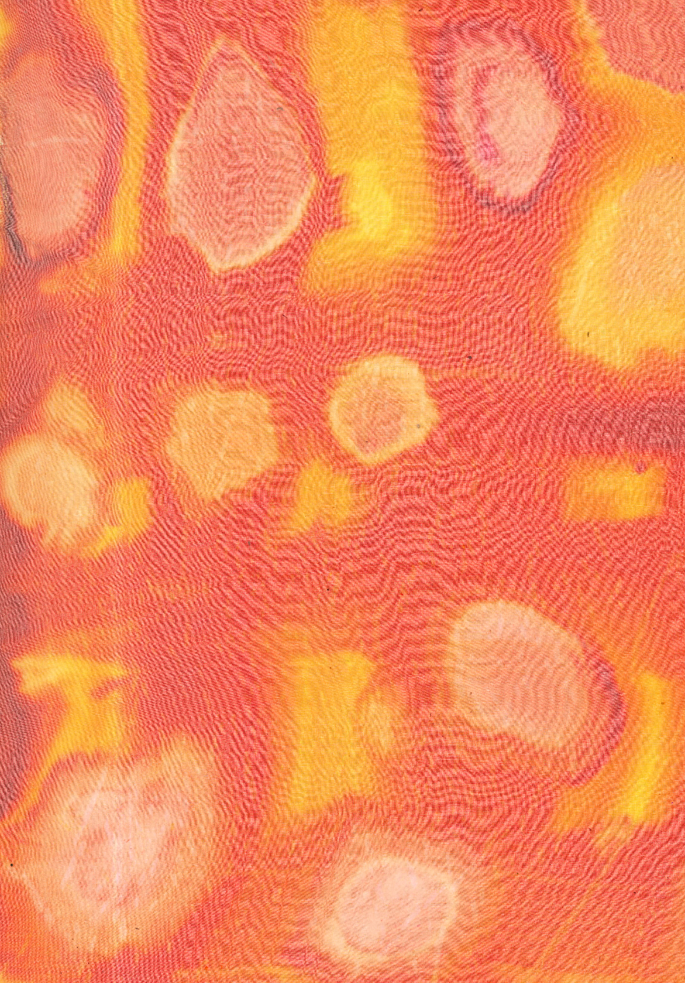 Procion dyes hand painted on screen, set with algae on silk organza