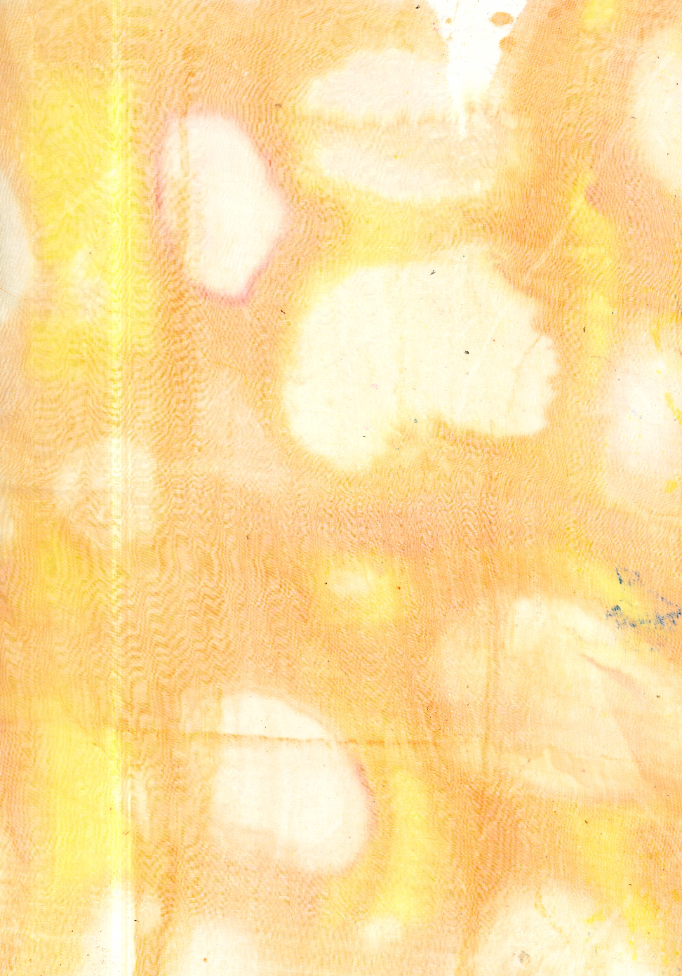 Procion dyes hand painted on screen, set with algae on silk organza