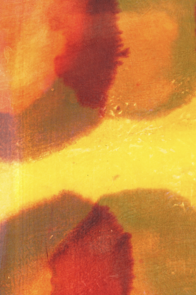 Procion dyes, hand painted onto screen, set with algae on silk organza