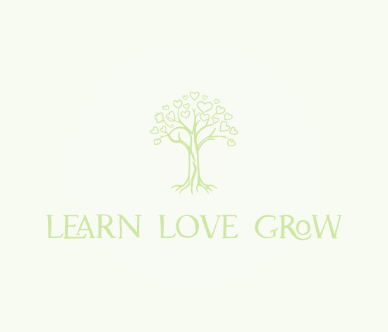 RECOMMENDED Positive Solutions for Families for Community Partners/Groups (Print Resources)