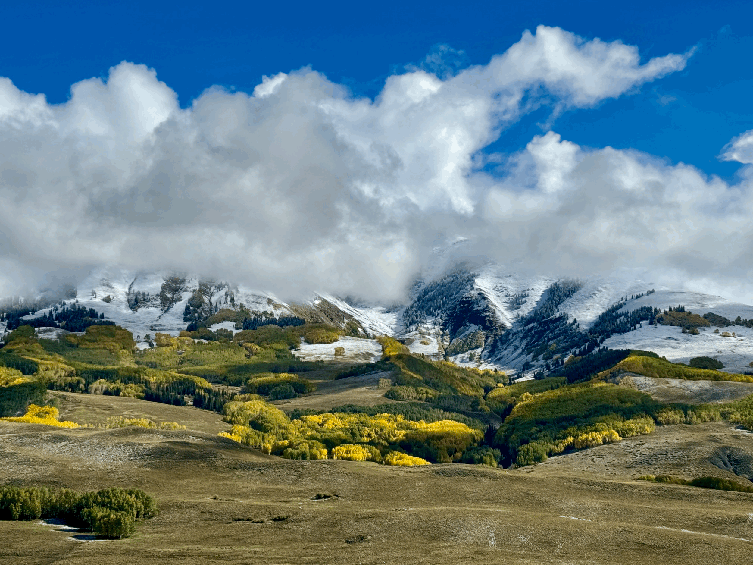 Crested Butte Summer Travel Guide