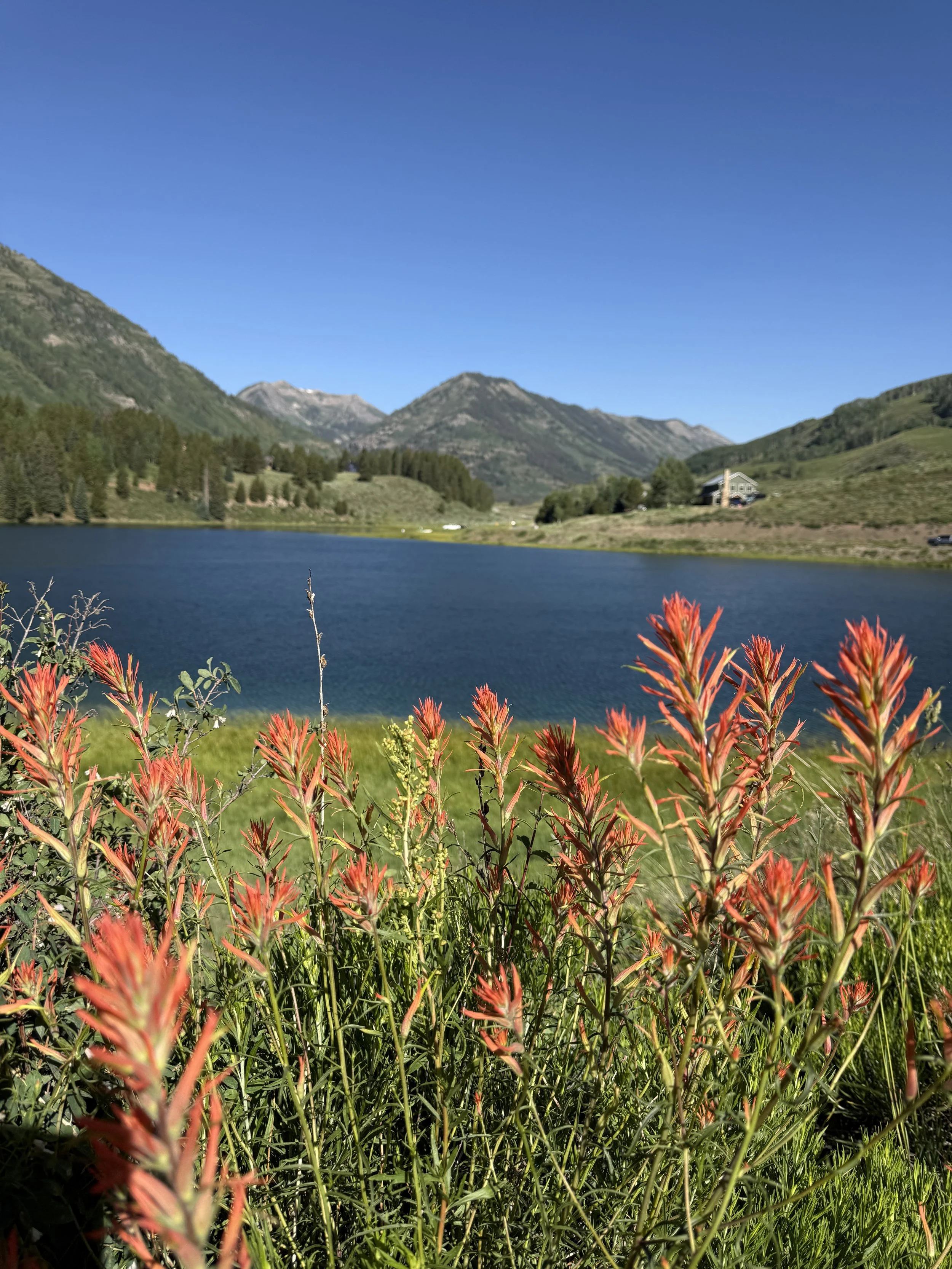 IMG_3427.JPG