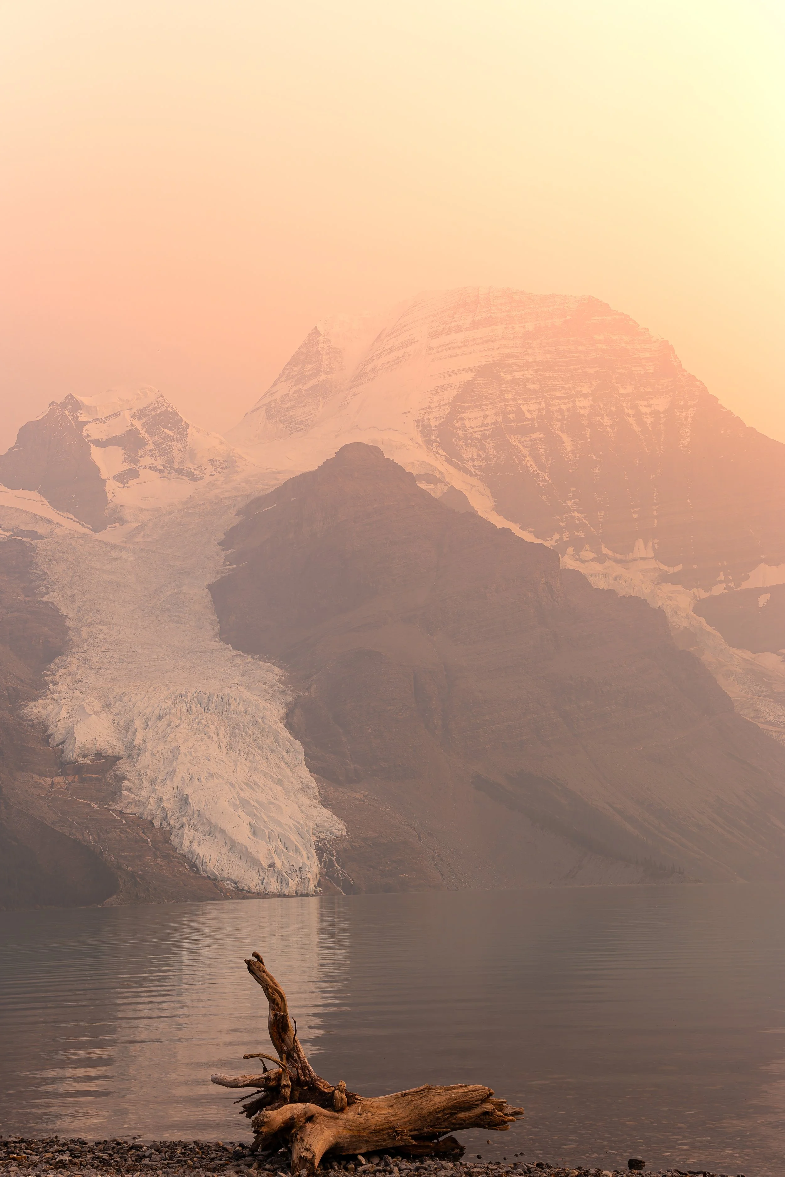 DT5A3455-DxO_DeepPRIME XD2s.jpg