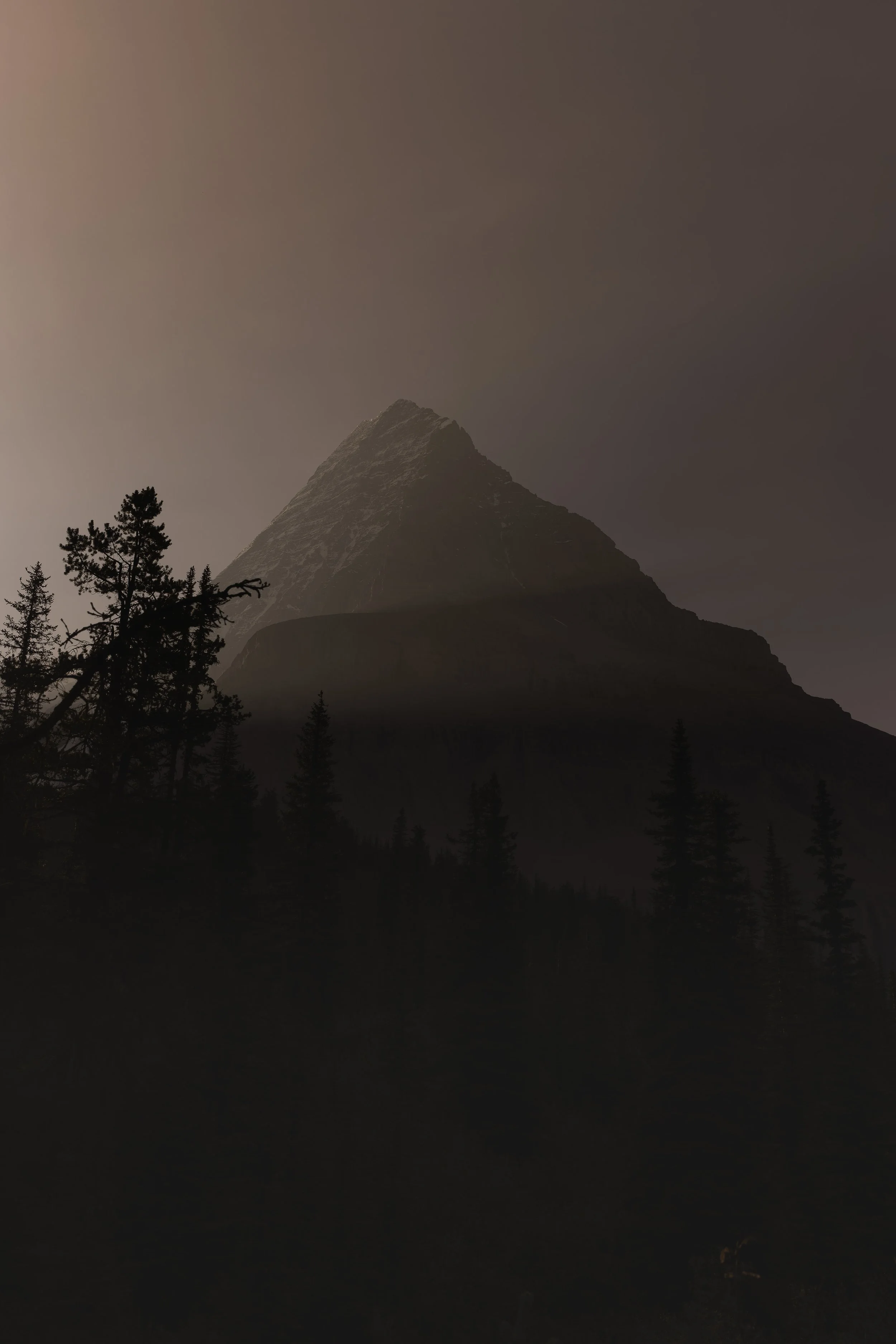 DT5A3044-DxO_DeepPRIME XD2s.jpg