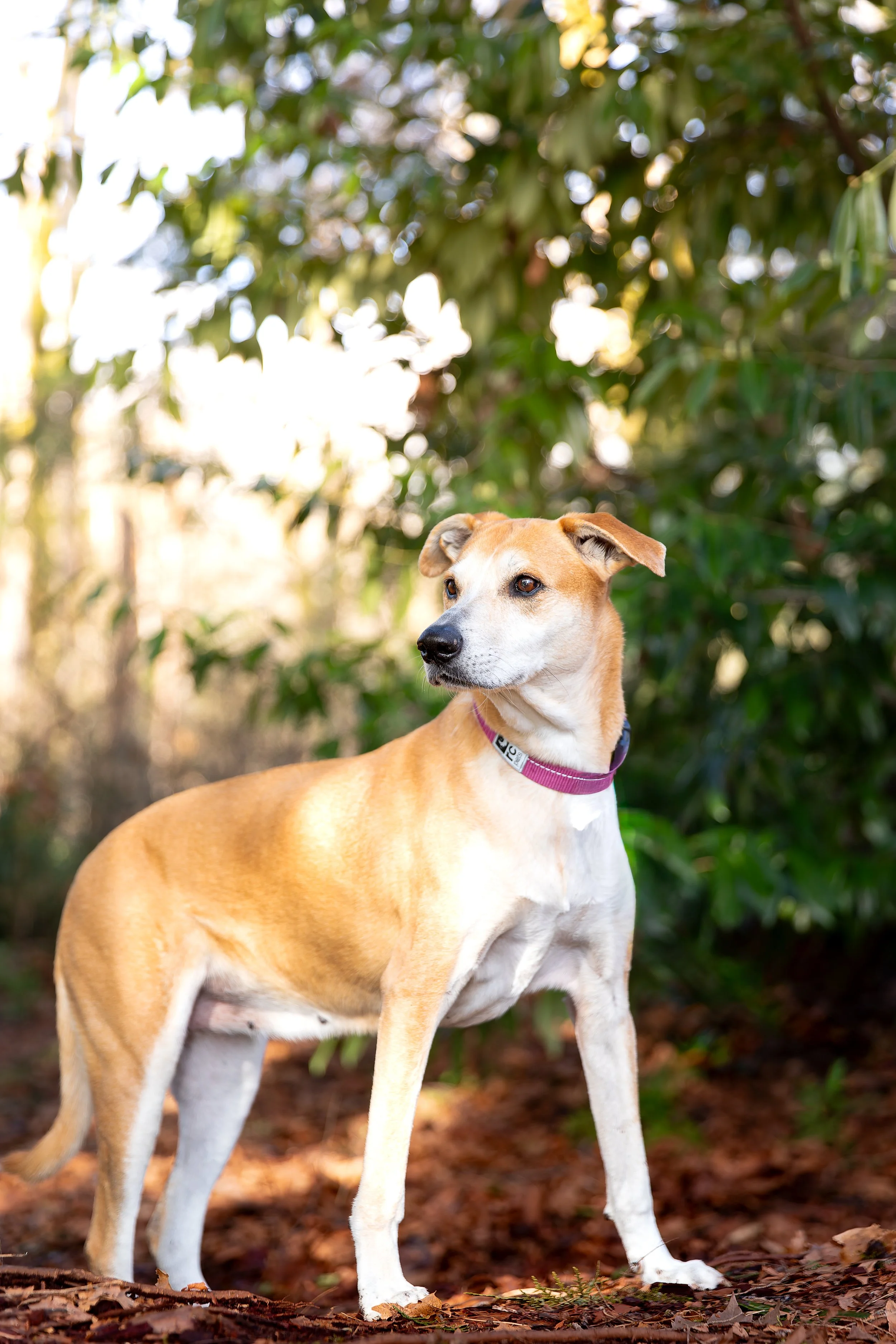 _MG_7795-DxO_DeepPRIME XD2s.jpg