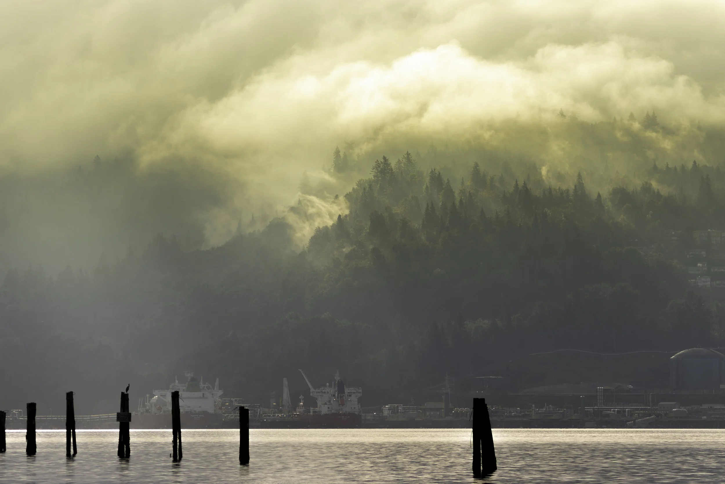 View from Maplewood Flats