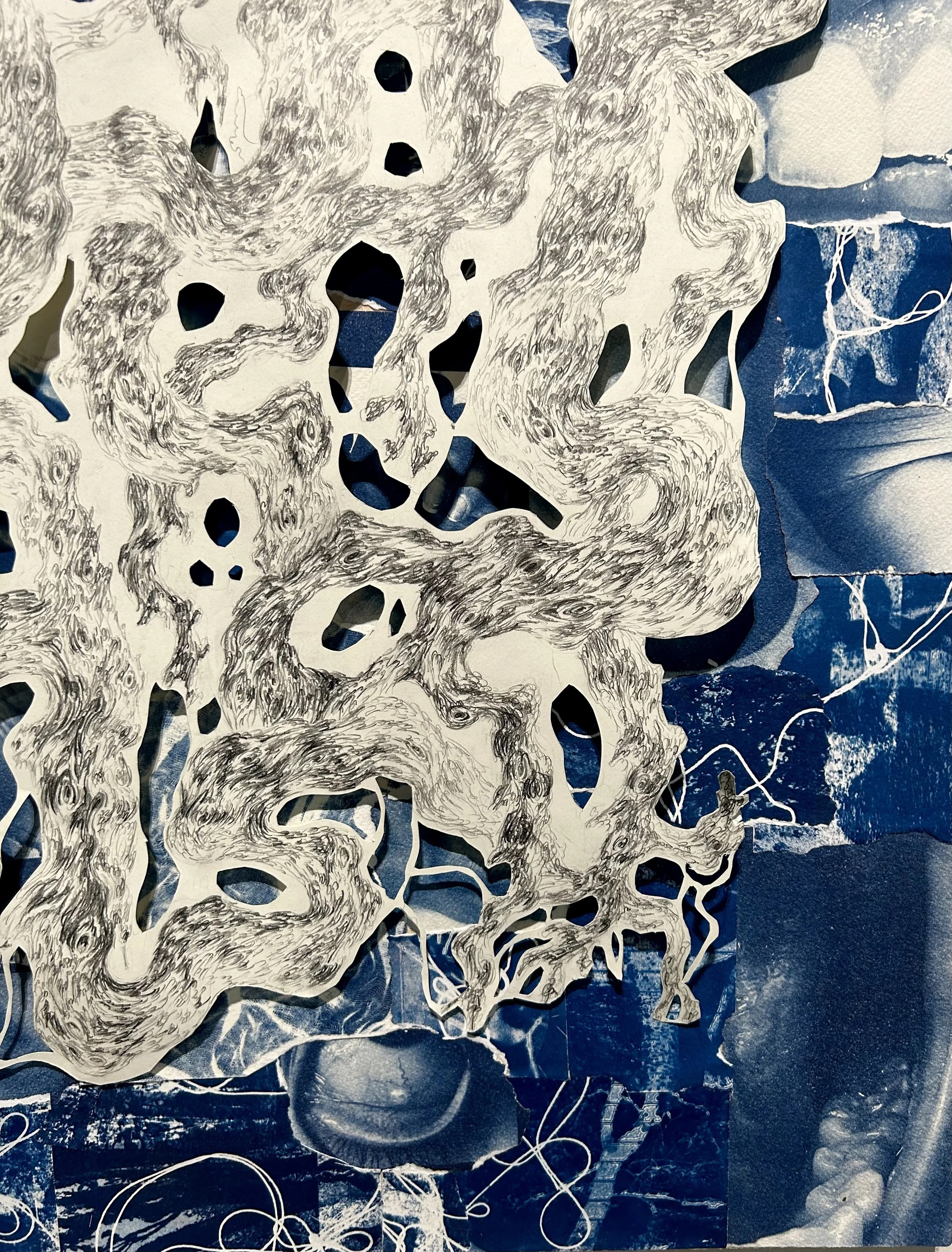Viscera detail
