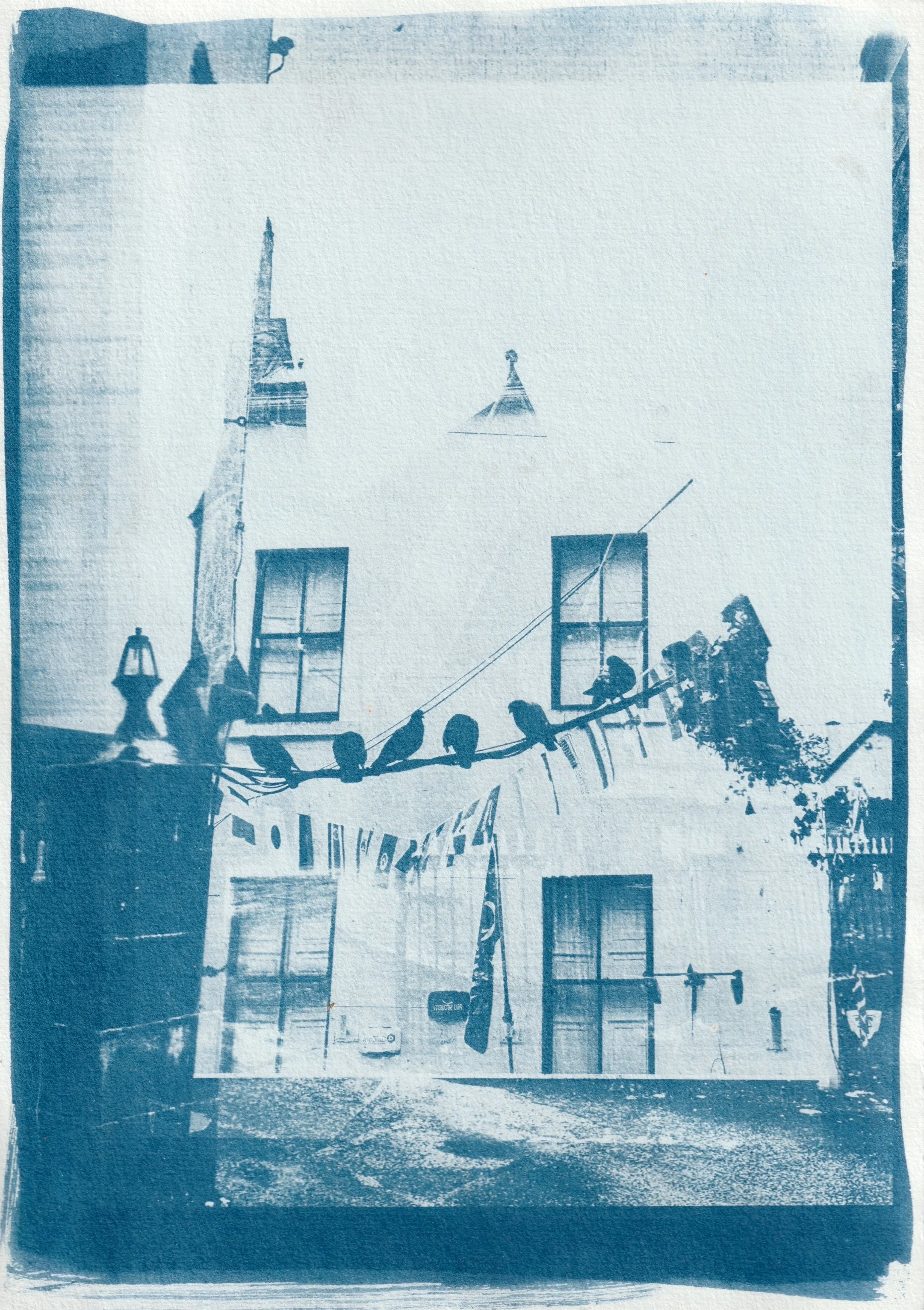 Galway. 2025. Cyanotype on paper. 10 x 8 in.