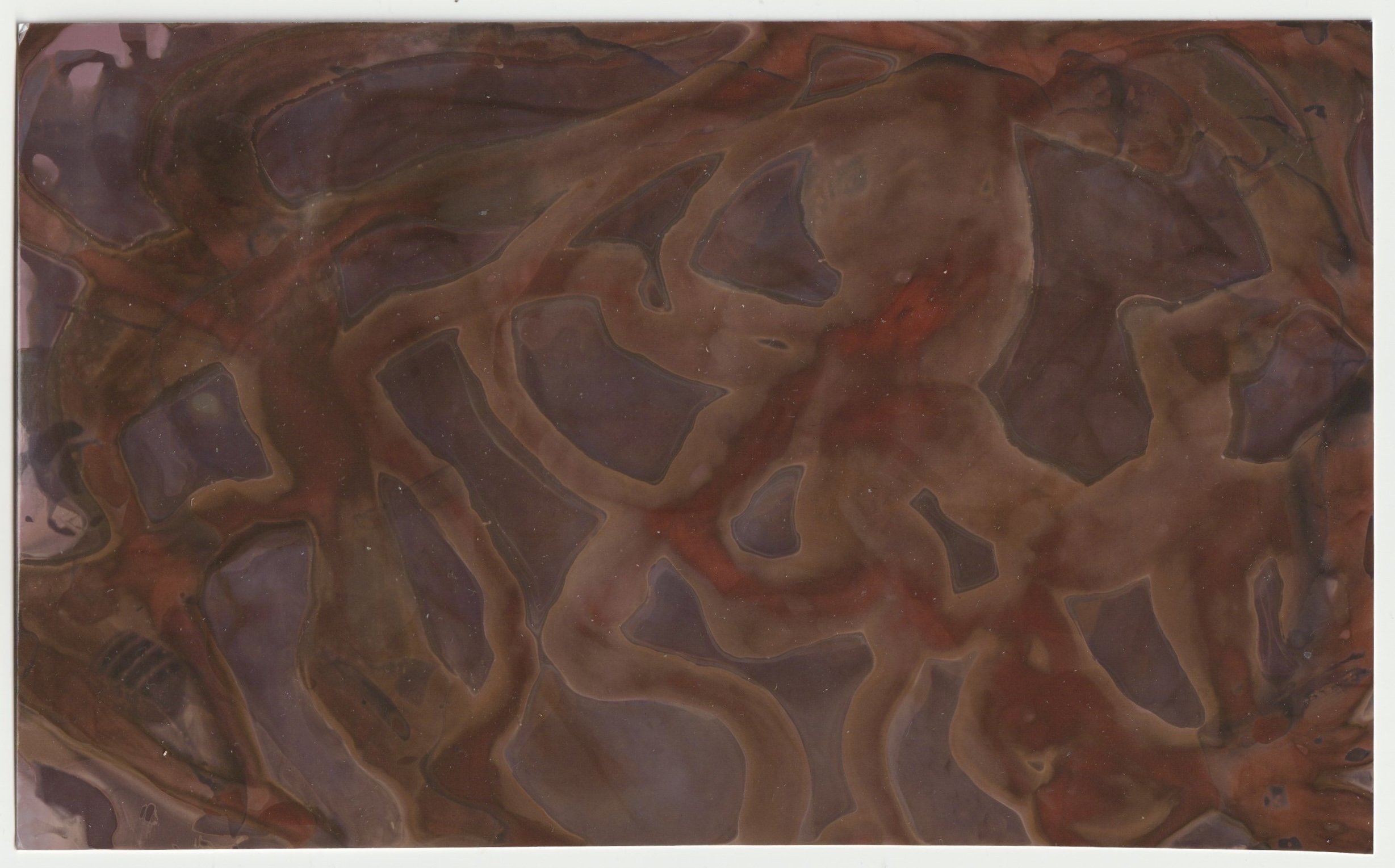 Pig Intestines I. 2026. Lumen print. 5 x 8 in.