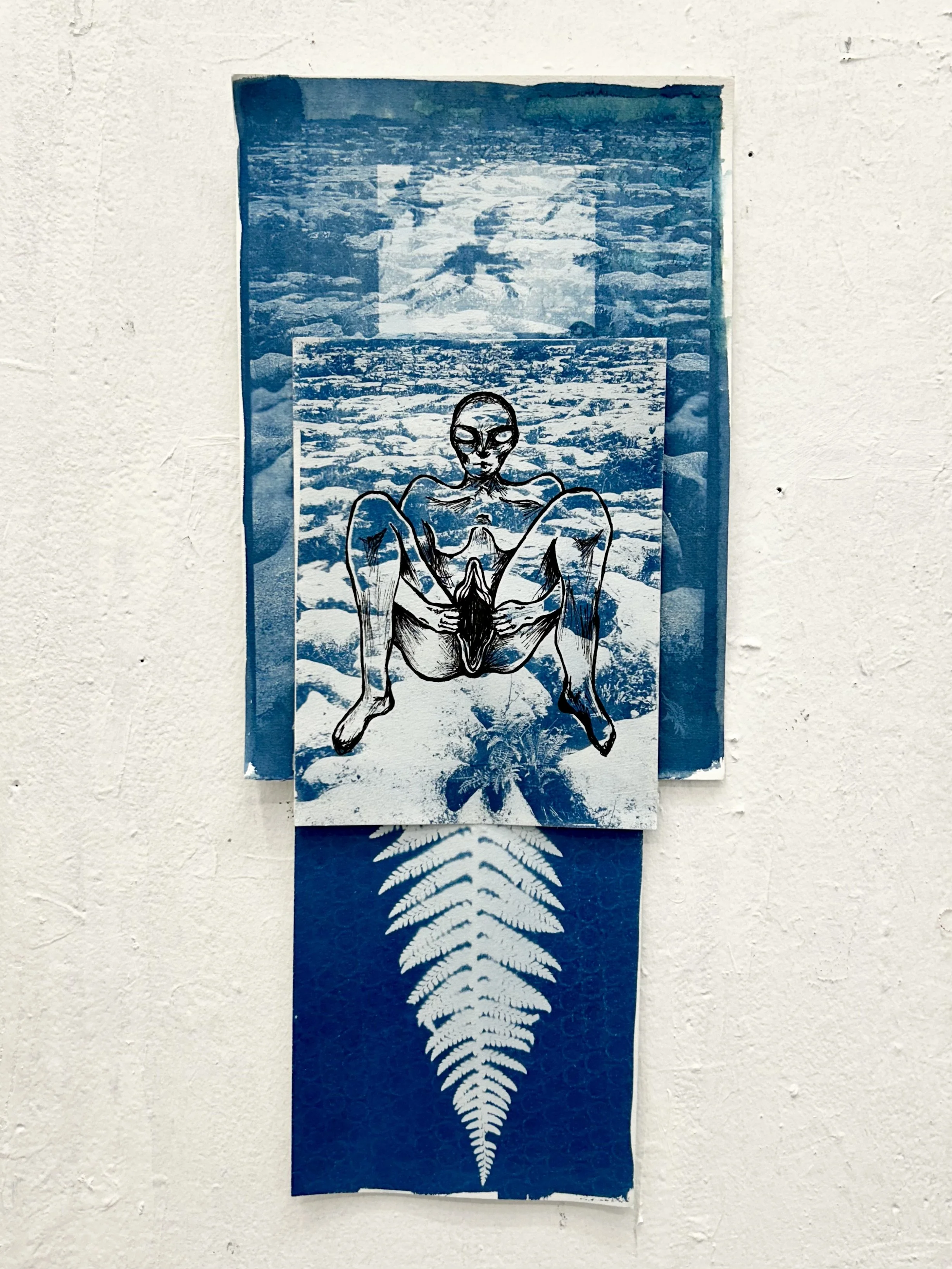 Sheela na gig. 2025. Cyanotype and ink on paper. 18 x 9 in.
