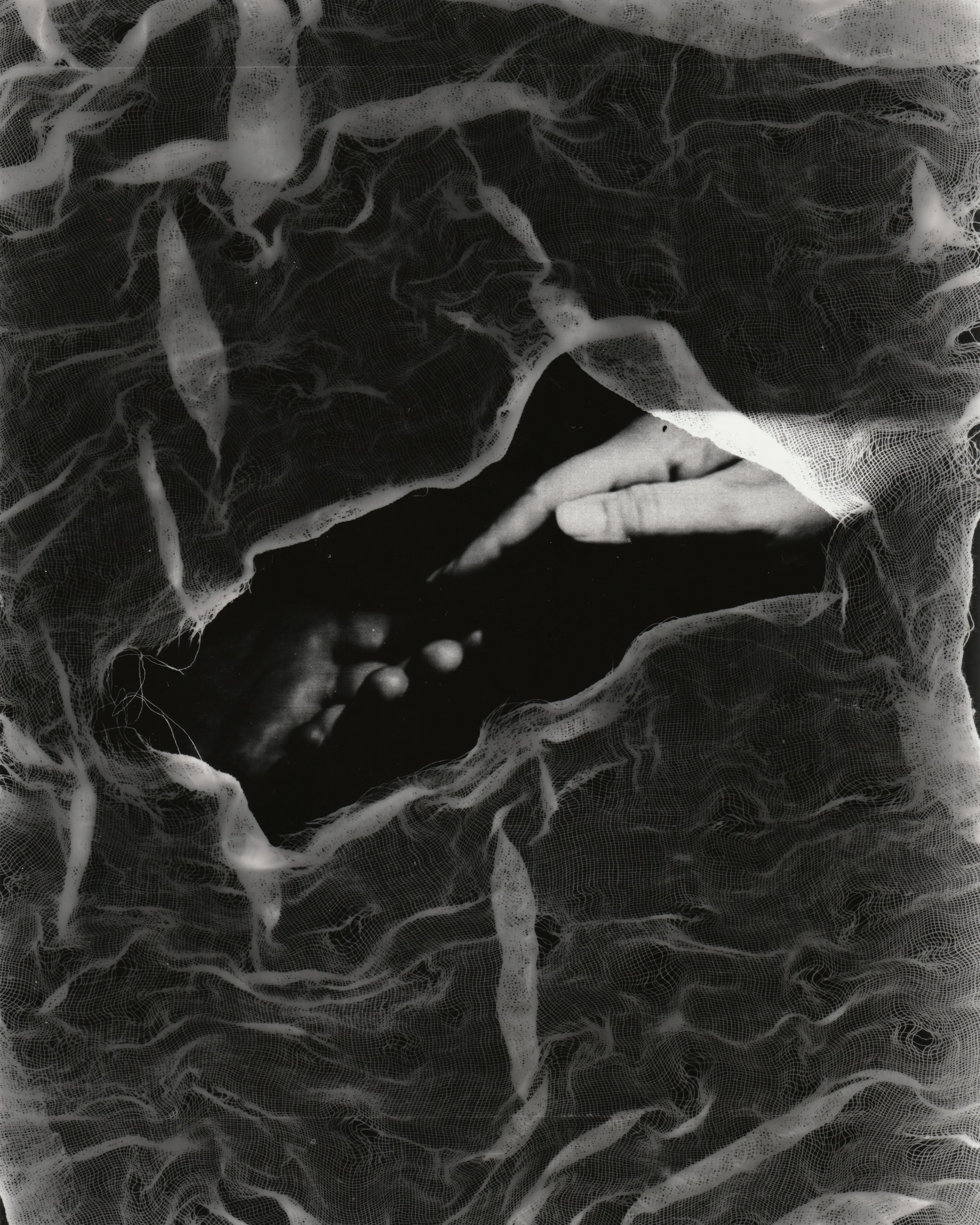 Reaching Out to You. 2026. Photogram. 10 x 8 in.