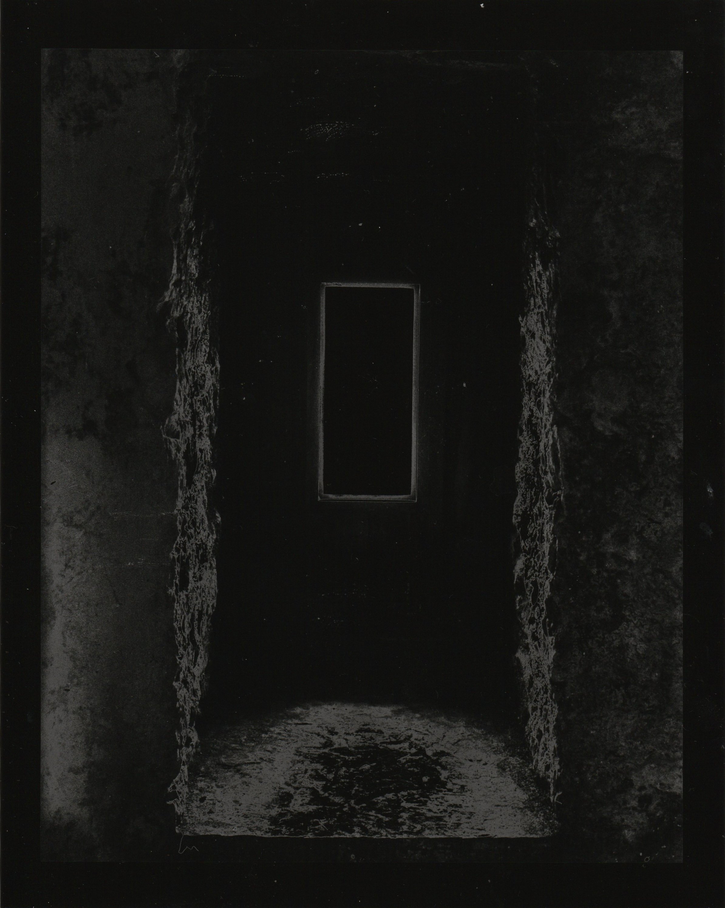 Dream State II. 2026. Darkroom print. 10 x 8 in.