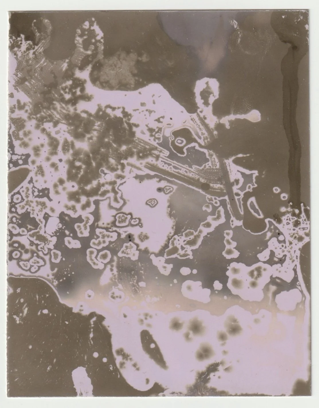 Oil Spill. 2026. Chemigram. 4 x 3 in.