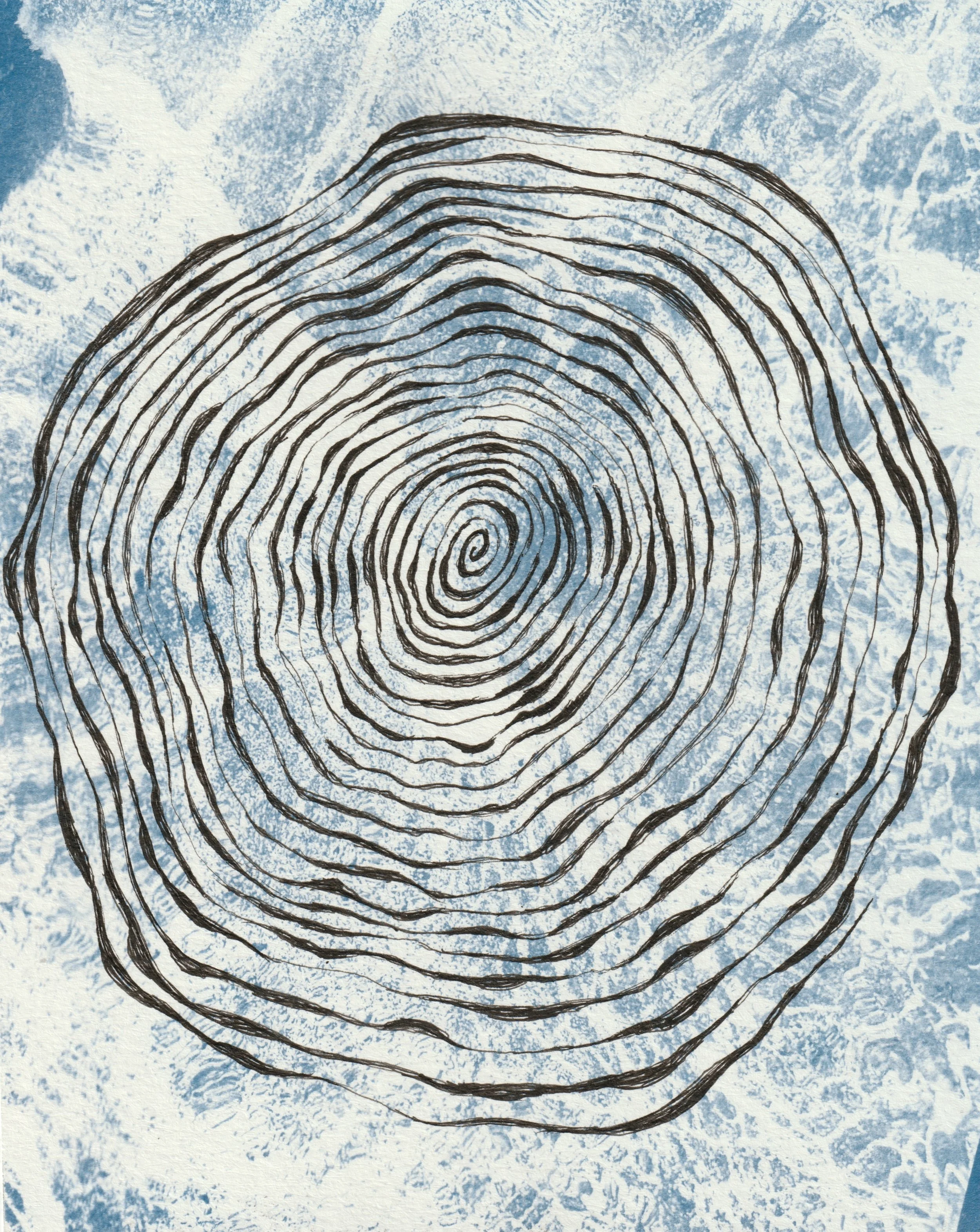 Life Cycle. 2025. Cyanotype and ink on paper. 6 x 4 in.