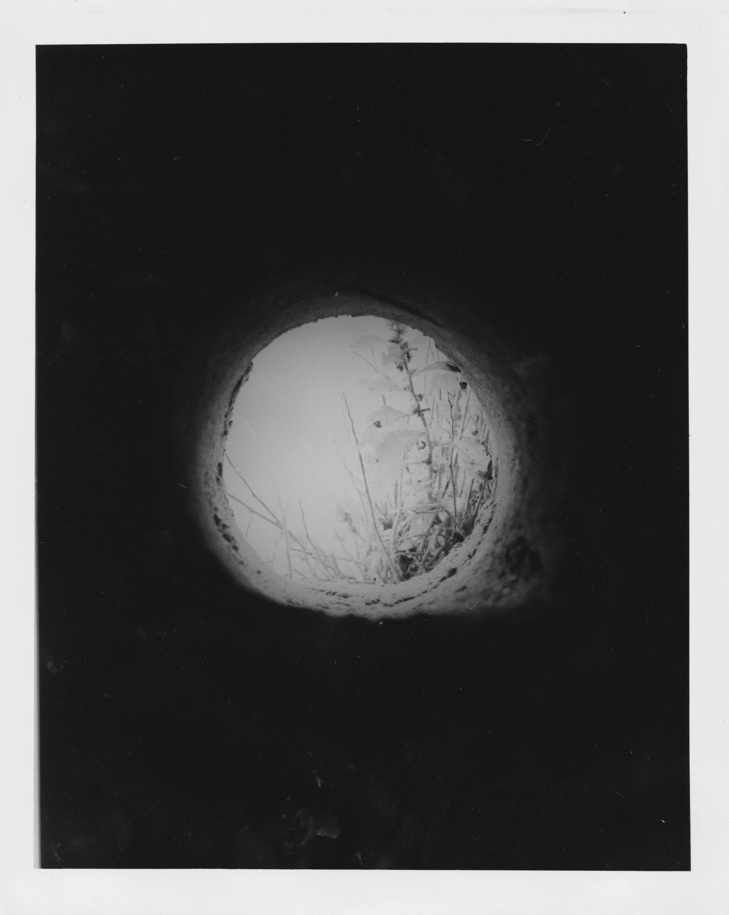 Newtown Castle: Through Windows II. 2025. Darkroom print. 10 x 8 in.