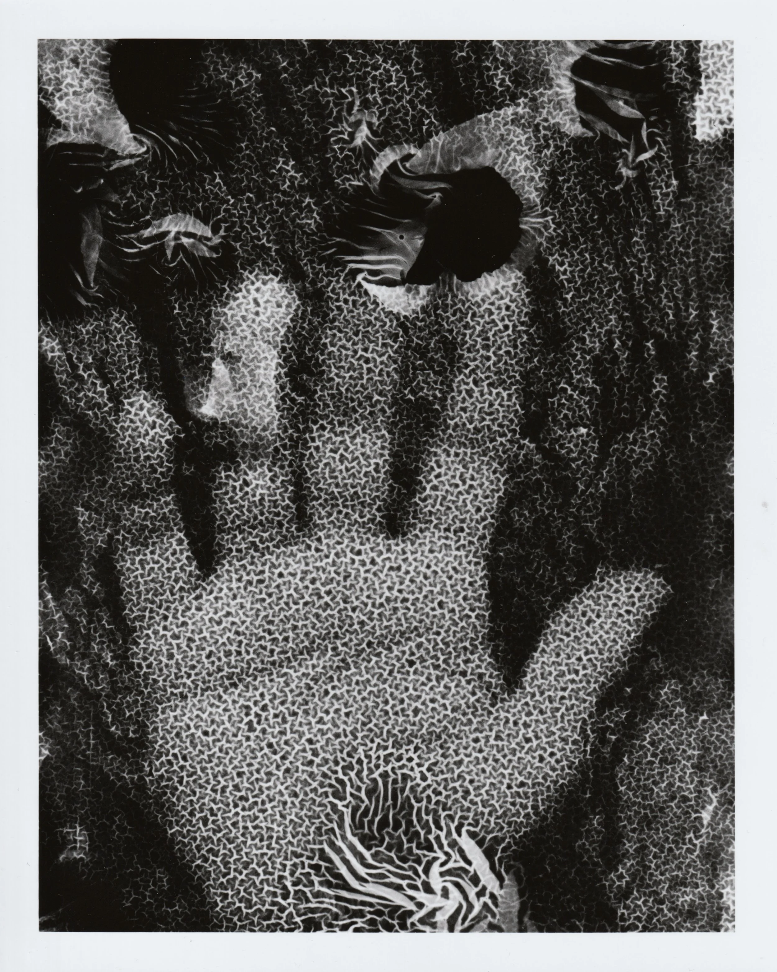 To Dust. 2026. Darkroom print. 10 x 8 in.