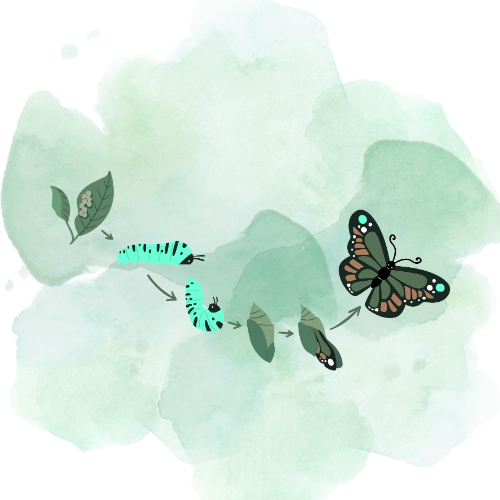 Reinvent Transformation