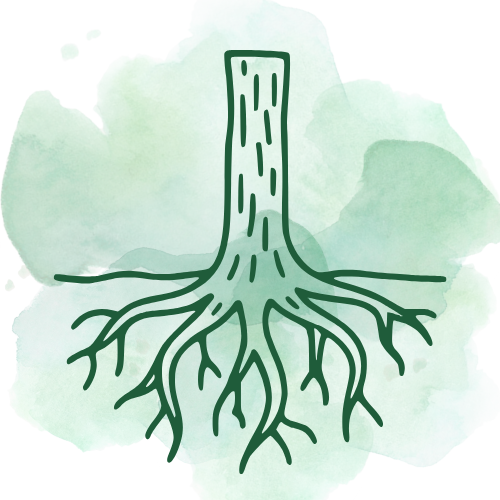 Root Cause Discovery
