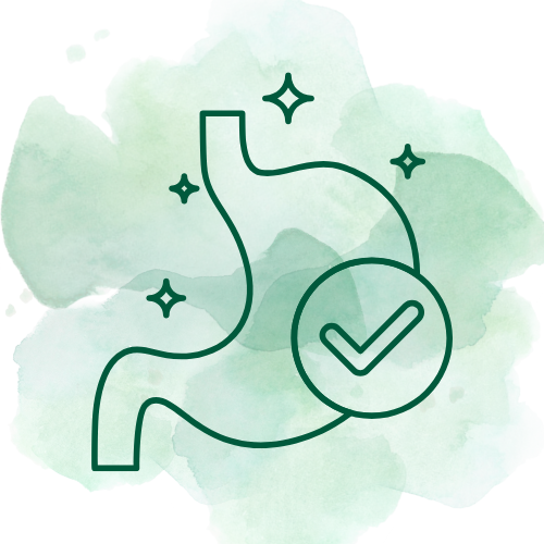 green healthy gut outline