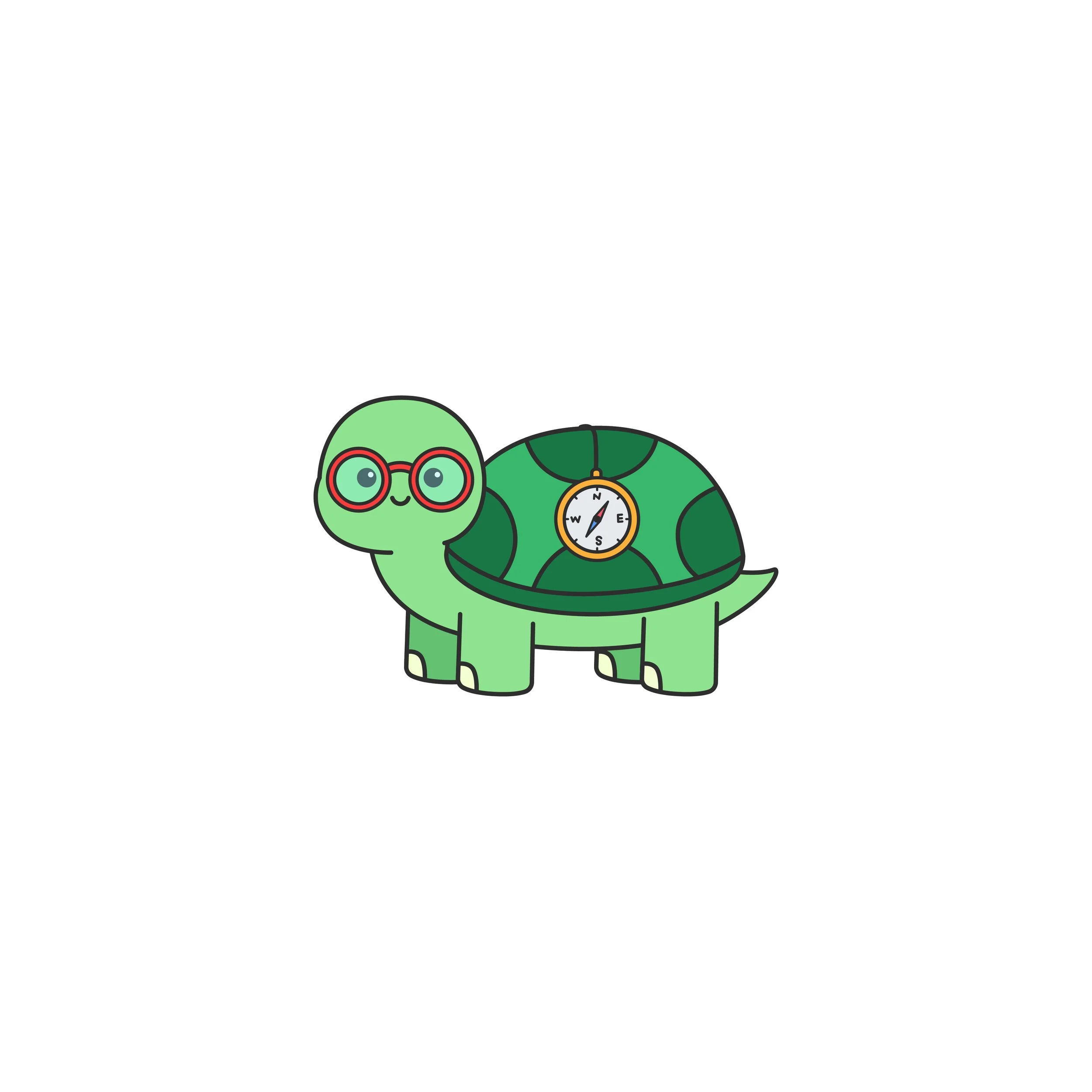 turtle (2).jpg