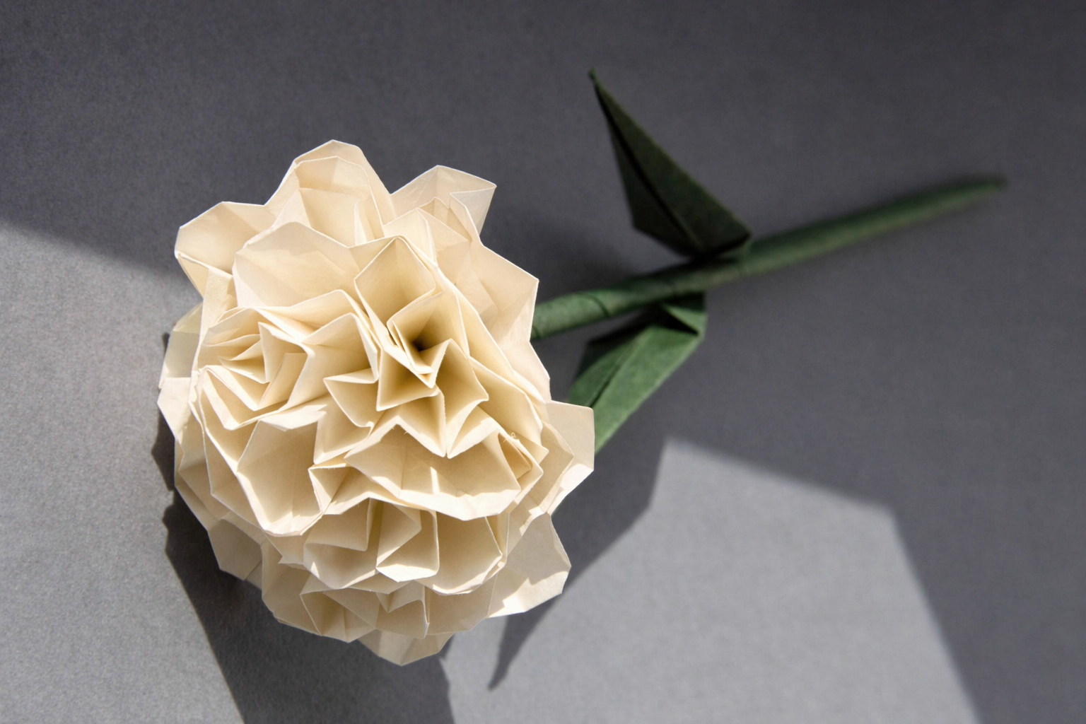 Campaign & Marketing Collateral