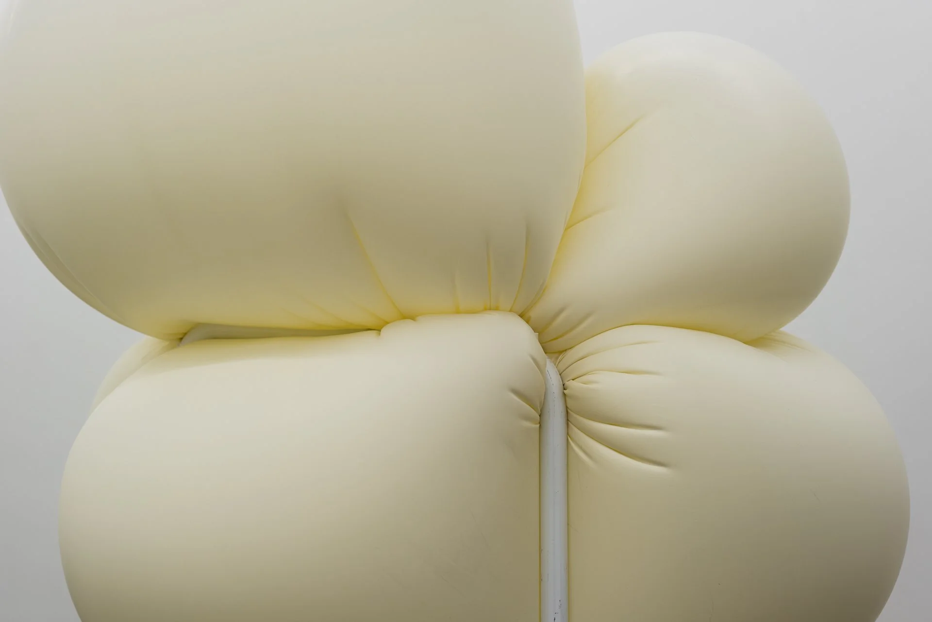 Distension (Single File)_4.jpg