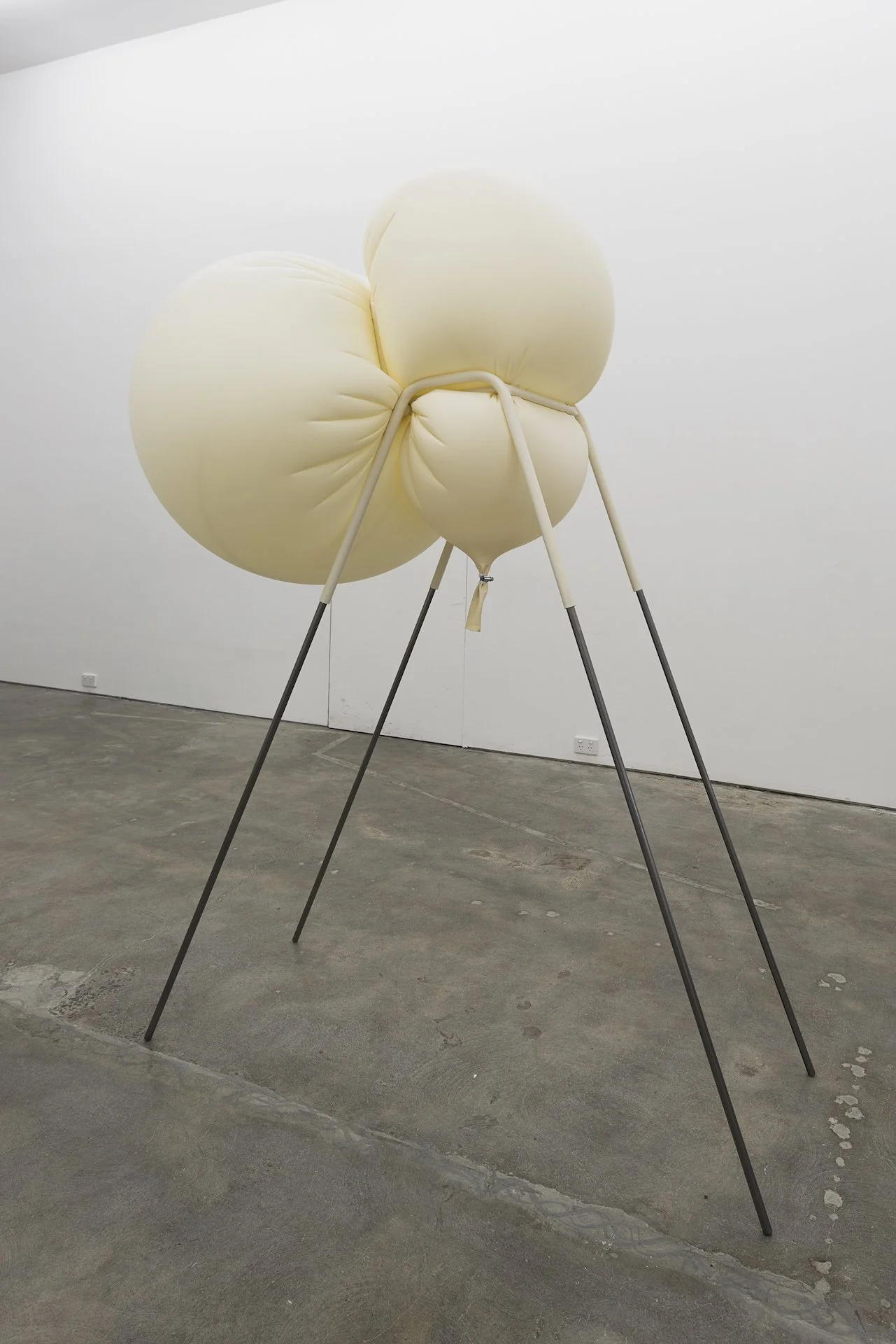 Distension (Single File)_6.jpg