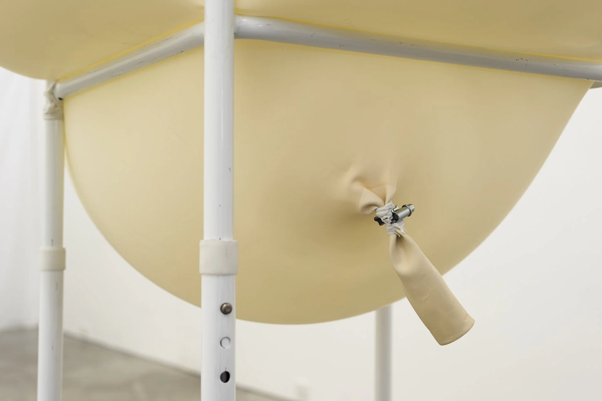 Distension (Single File)_5.jpg