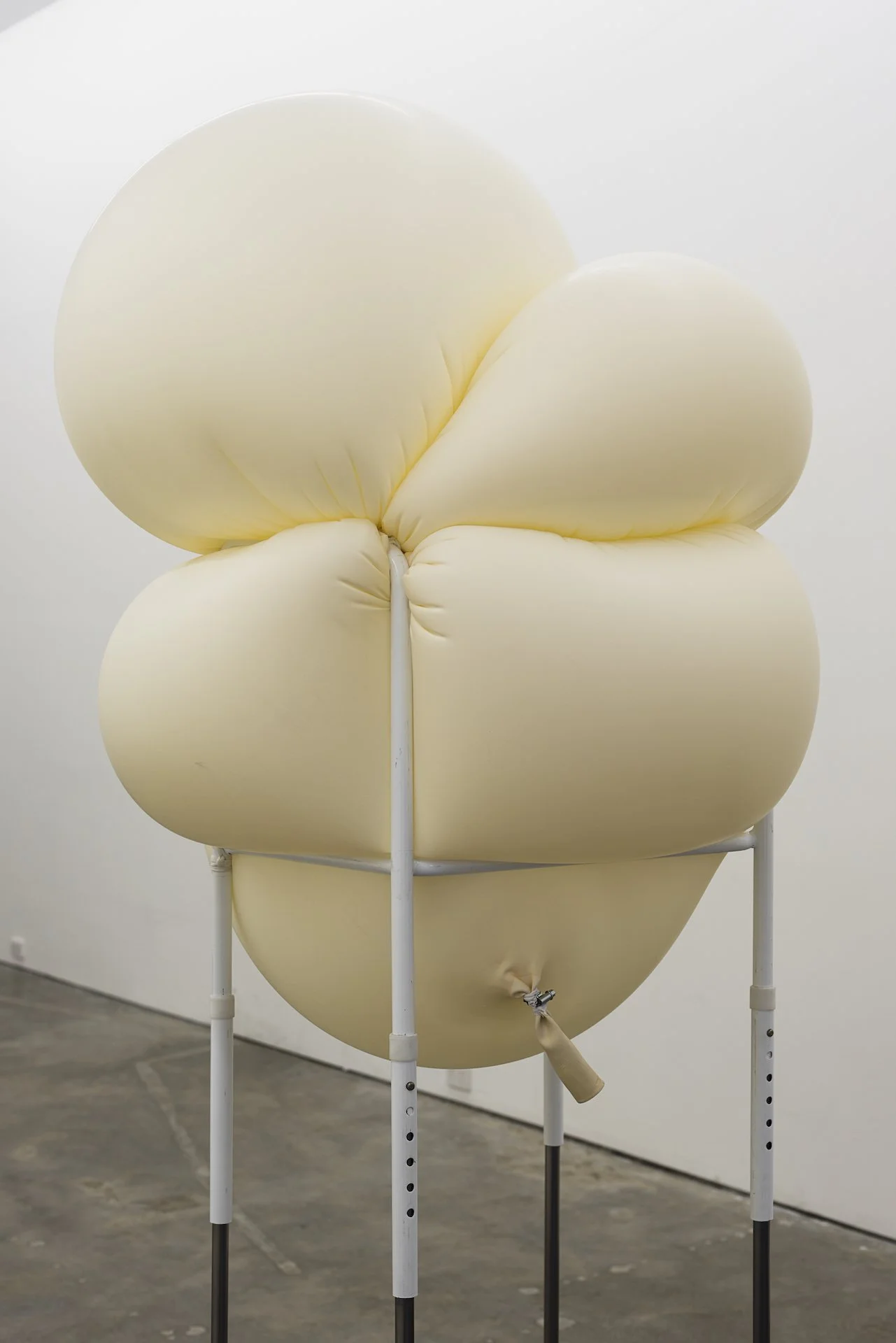 Distension (Single File)_2.jpg