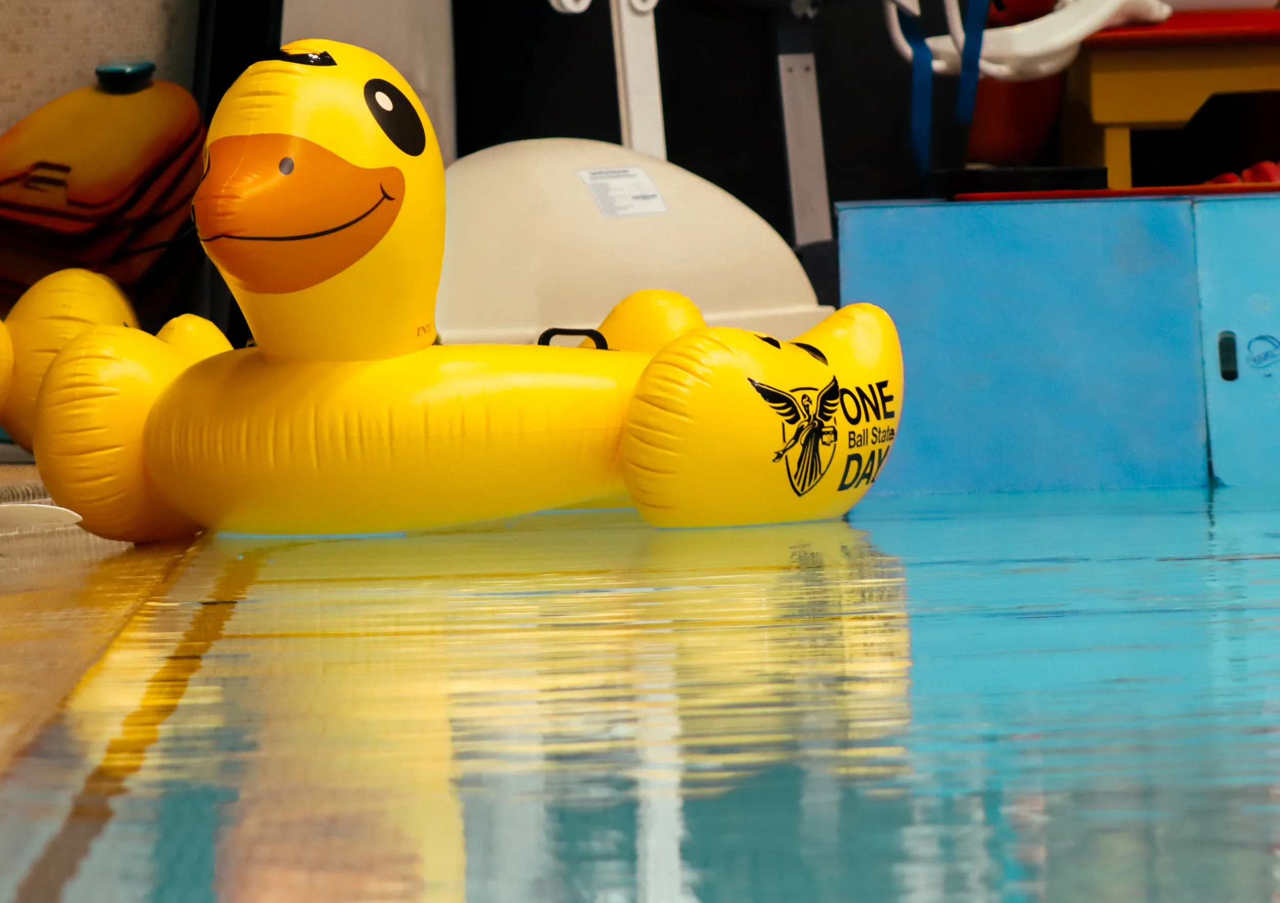 One Ball State Day 2023: Duck Races