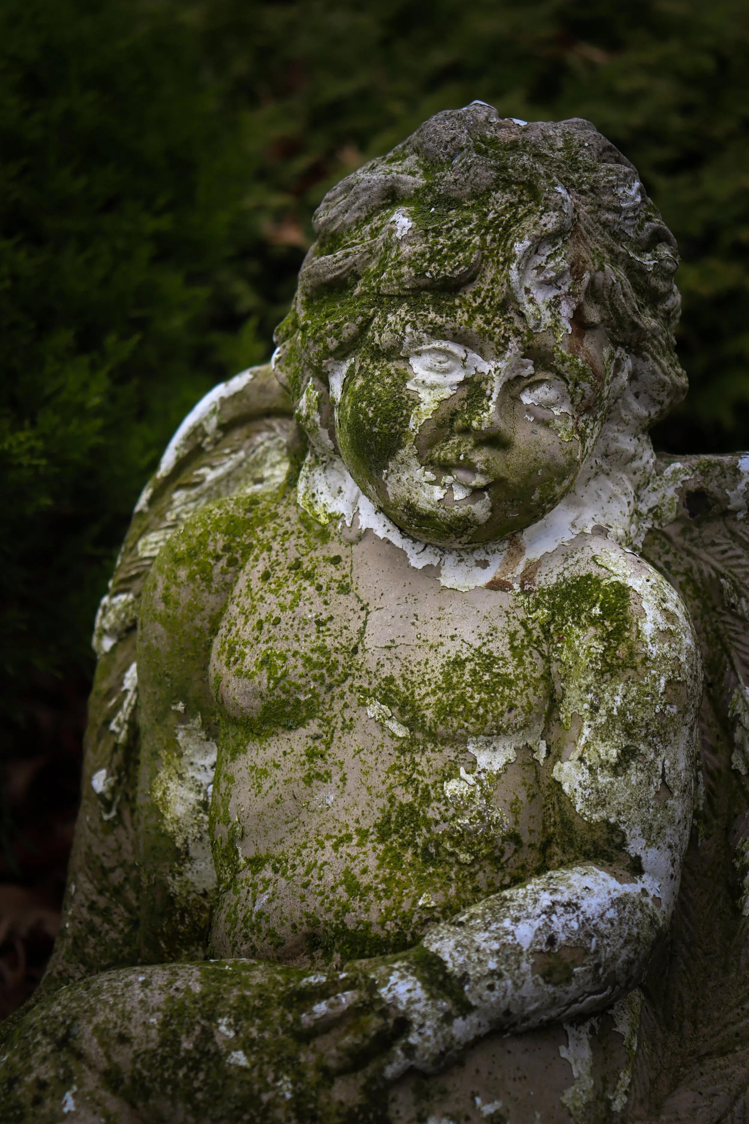 IMG_8260.jpg
