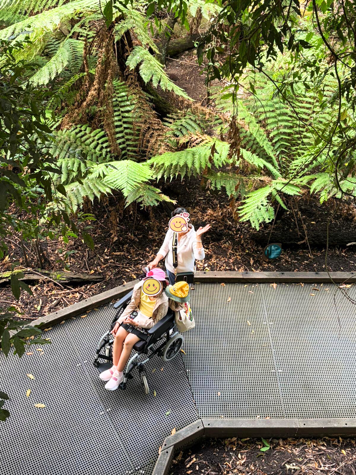A woman and a girl in a wheelchair on an outdoor platform surrounded by lush green ferns and trees.