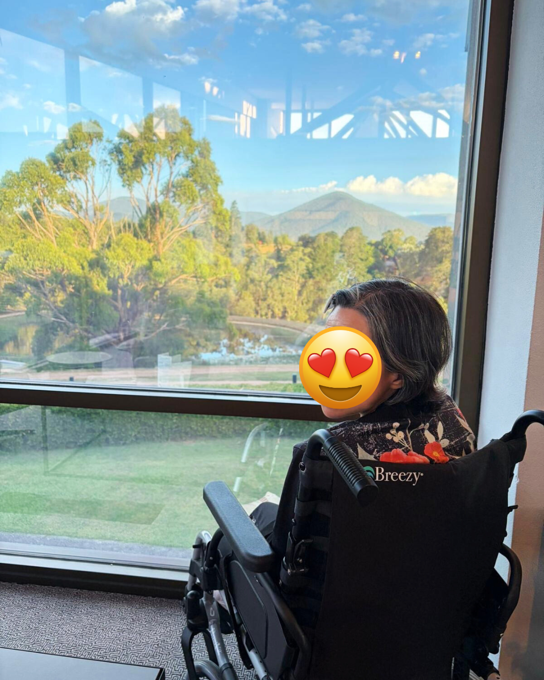 A person in a wheelchair looking out a large window at a scenic landscape with trees, a pond, and mountains in the distance during daytime.