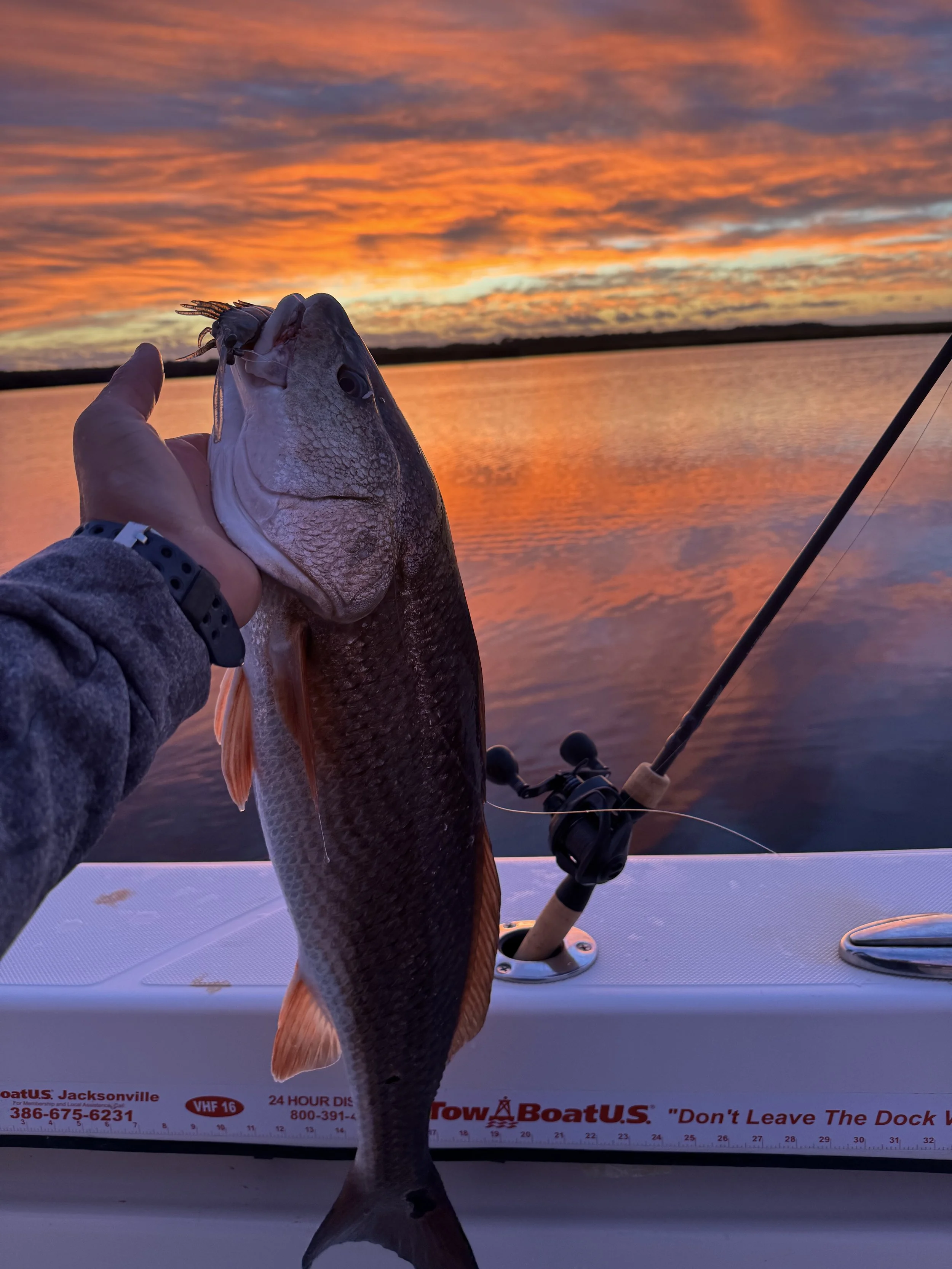 A person holding a large redfish on a boat during a colorful sunset over a calm body of water.