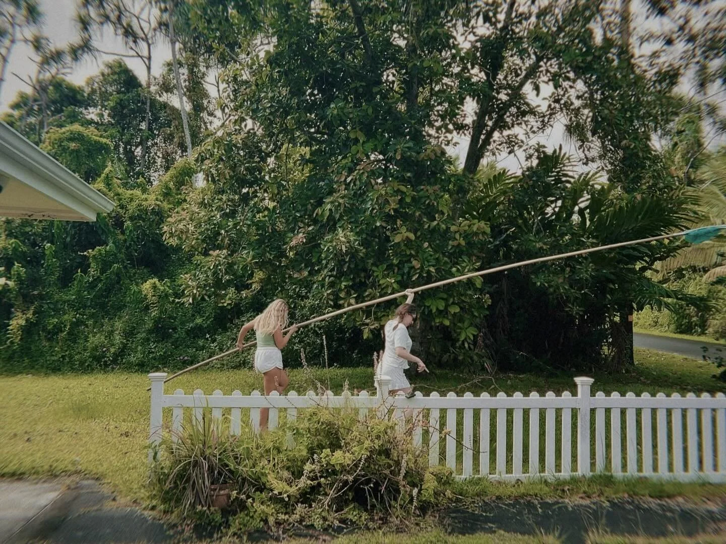 chronically unserious, geographically in paradise 🦀